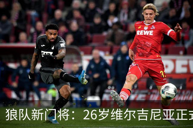 狼队新门将：26岁维尔吉尼亚正式加盟，签约3年