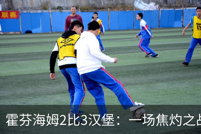 霍芬海姆2比3汉堡：一场焦灼之战，裁判也忙碌